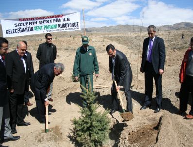 ÇEVRE VE ORMAN İL MÜDÜRLÜĞÜ - Tbmm Hatıra Ormanı Oluşturuldu