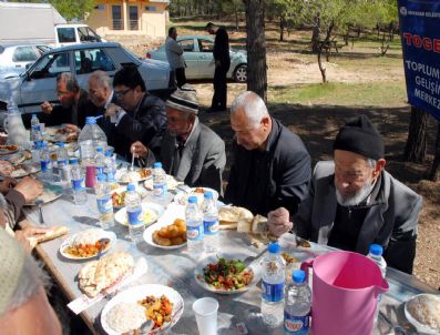 Yaşılar Piknik Yaptı