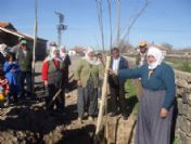 Ağaçlandırma Seferberliğinin Öncüsü Kadınlar