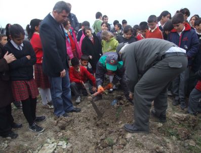 TERZIALAN - Çan'da Fidan Dikimi Yapıldı