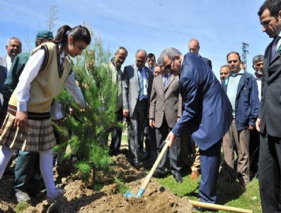 KıRMıTLı - Kırmıtlı Kuş Cenneti'ne Fidan Dikildi