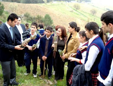 ADEM USLU - Sarıgöl'de Orman Haftası Kutlamaları