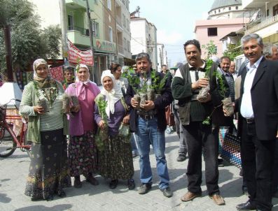 Dalaman'da 5 Bin Fidan Toprakla Buluşacak