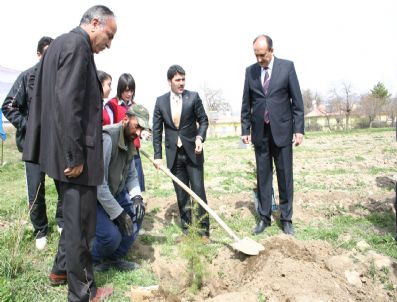 ÇEVRE VE ORMAN İL MÜDÜRLÜĞÜ - Erzincanlı İşadamı Hacı Ali Akın Adına Hatıra Ormanı Kuruldu