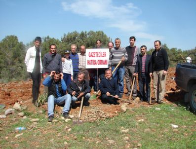 İBRAHIM TÜRKOĞLU - Gazetecılerden 'Hatıra Ormanı'