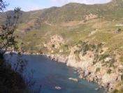 Muz Üretiminden 50 Milyon Tl Gelir Elde Edildi