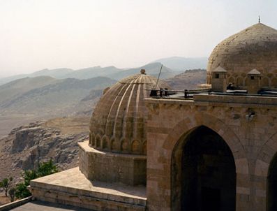 TEKFIR - Cihat fetvası Mardin'de tartışıldı
