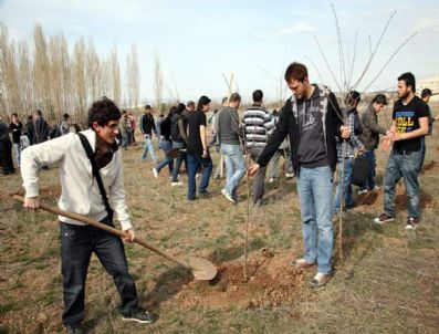 İLYAS DÖKMETAŞ - Dekder Tarafından Cumhuriyet Üniversitesi'ne Fidan Dikimi Yapıldı