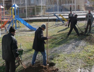 Malatya Belediyesi Yeşillendirme Çalışmaları