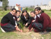 Bayan Eli Değen Çöplük Fidanlık Oldu