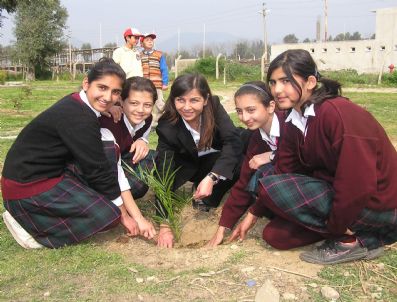 Bayan Eli Değen Çöplük Fidanlık Oldu