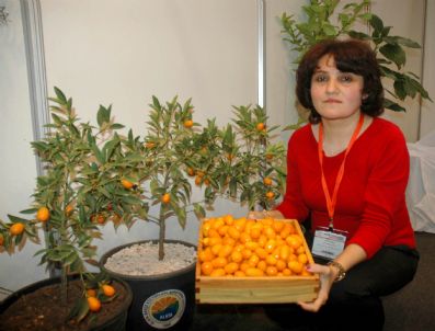 RASIM ARSLAN - Çekirdeksiz Kamkat Endüstriye Kazandırılacak
