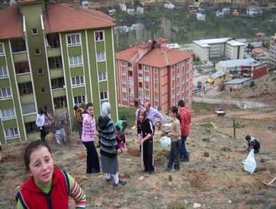 Gümüşhane'de Öğrenciler Fidan Dikti