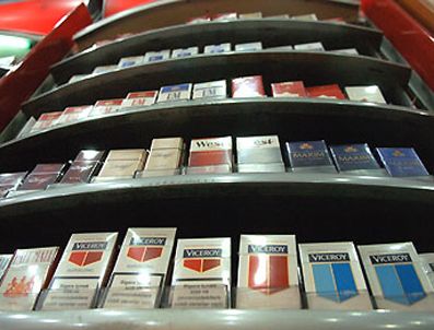 PHILIP MORRIS - Türkiye Avrupa şampiyonu oldu