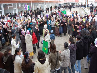 EMINE AYNA - Bitlis'te 8 Mart Dünya Kadınlar Günü Kutlamaları