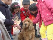 Yiyeceklerini Köpeklerle Paylaştılar