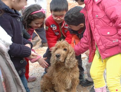 Yiyeceklerini Köpeklerle Paylaştılar