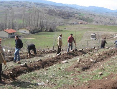 İskilipli köylülerden doğaya katkı