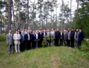 Bal Üretim Ormanları