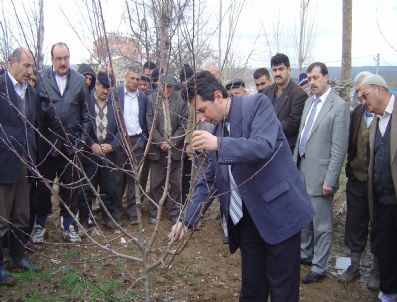 İSA GÖK - Hisarcık'ta Çiftçilere Meyve Ağacı Budama Teknikleri Uygulamalı Olarak Gösterildi