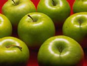 İsrail İşgalindeki Elmaların Özgürlüğü