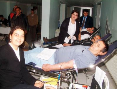 HEPATIT C - Burhaniye'de Kan Seferberliği