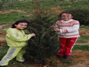 Kula'da İlköğretim Okulu Öğrencileri Fidan Diktiler
