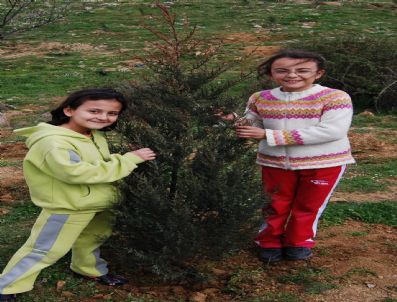 MUZAFFER ŞAHINER - Kula'da İlköğretim Okulu Öğrencileri Fidan Diktiler