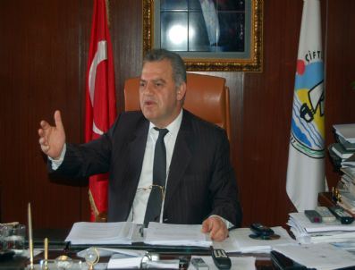 METIN DAĞ - Yalova'da Termik Santral Tartışması