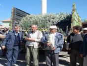 Akbükte Ücretsiz Zeytin Fidanı Dağıtımı