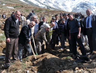 YAKUP VATAN - Bozdağ Kayak Merkezi'ne 61 Bin Fidan