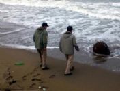 Sakarya'da Nazi mayını