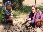 Alaşehir'de 550 Hektar Alan Ağaçlandırıldı