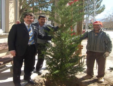 Dereköy Belediyesi'nden Ağaçlandırma Atağı