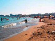 Tarsus'a yatırım yapmak için sahil kumu inceleniyor