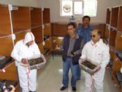 Çamkese Böceği İle Biyolojik Mücadele