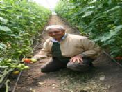 Ceyhan'da Hormonsuz Eracılık