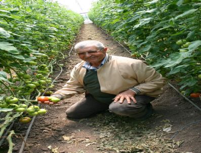 BEKIR YıLMAZ - Ceyhan'da Hormonsuz Eracılık