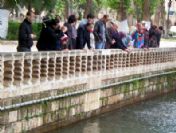 Kösedağ Eğitim Kültür Yardımlaşma Ve Dayanışma Derneği İlçeye Döndü