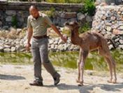 İsimlerini Siz Koyun!