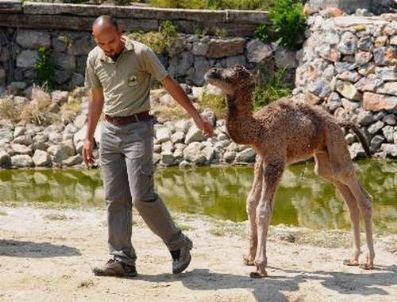 İZMIR DOĞAL YAŞAM PARKı - İsimlerini Siz Koyun!