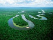 Nil'de tehlike çanları çalıyor