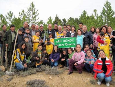 MUSTAFA EREN - Tapulu Arazisini Ormana Bağışladı Şimdi Adı Ormanla Yaşıyor