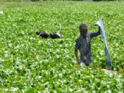 Indıa Feature Package Earth Day