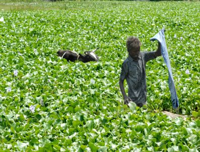 ENDEAVOUR - Indıa Feature Package Earth Day