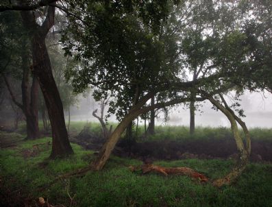 JOHANNESBURG - South Feature Package Earth Day