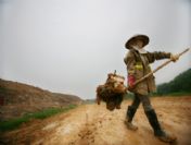 Vıetnam Feature Package Earth Day