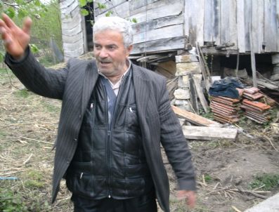 Kurmu'da Hayvan Hırsızlığı