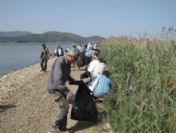 Kuş Cennetinden 2 Kamyon Çöp Toplandı