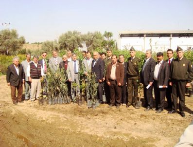 ABDURRAHMAN KOÇOĞLU - Ödemiş'te Fidan Zamanı